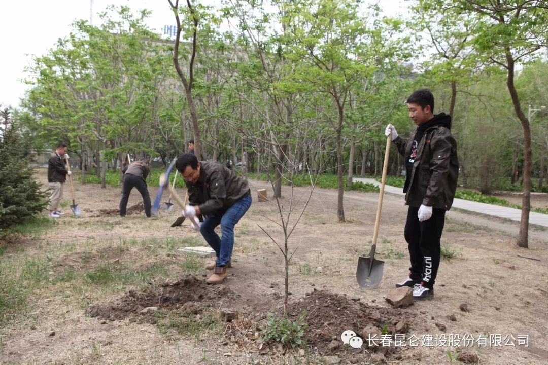 1604305236246333.png c65e8edd19fed2e74e8172801167622.png